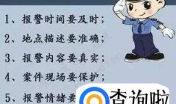 拨打报警电话的注意事项