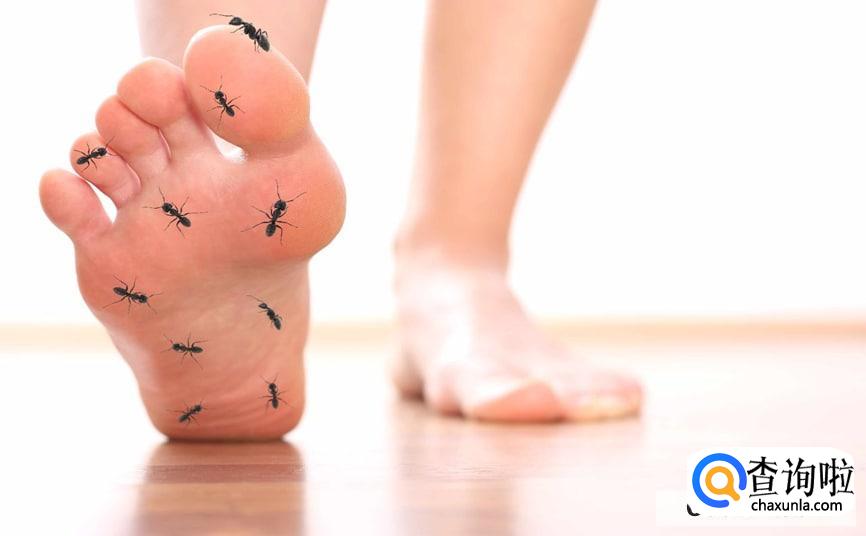 容易脚麻什么原因怎么办