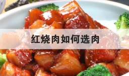 红烧肉如何选肉