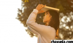 父母总是逼婚怎么办