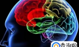 学生长时间熬夜的危害有哪些？