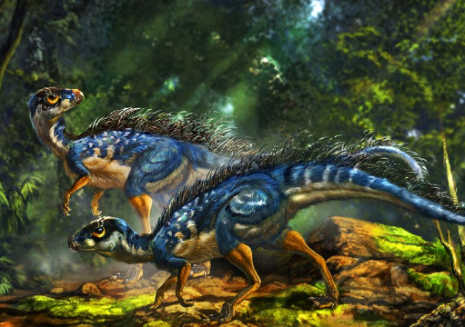 地球上的生物种类超过多少万种