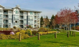 你同意取消物业由社区管理吗？为什么？