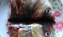 鱼头蒸粉丝的做法