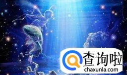 哪个星座最好追？