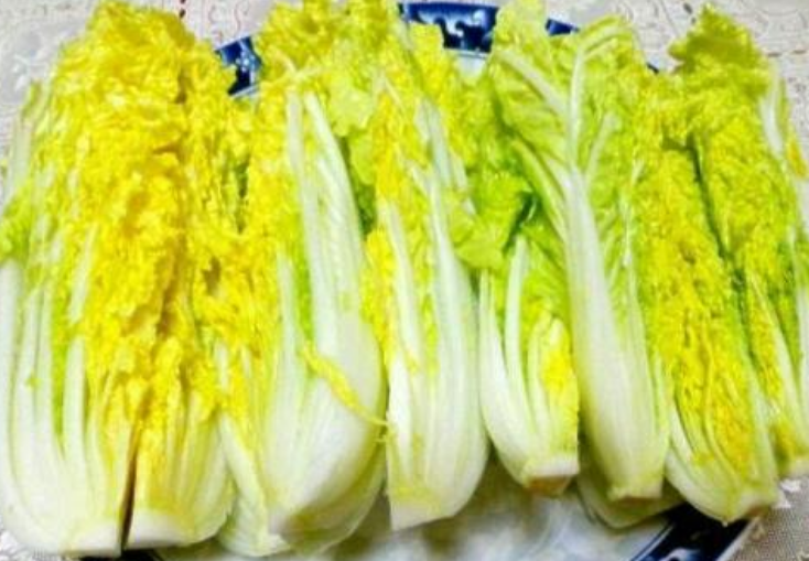 娃娃菜的功效及作用