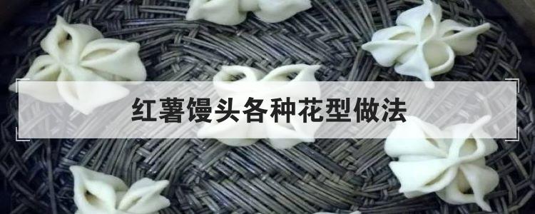 红薯馒头各种花型做法