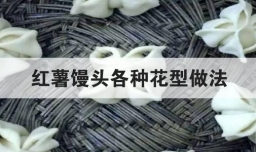 红薯馒头各种花型做法