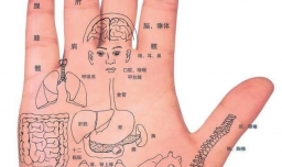 如何看手相算命图解