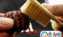 文玩核桃怎么盘玩?