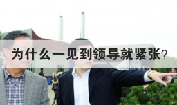 为什么一见到领导就紧张