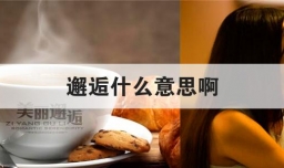 邂逅什么意思啊