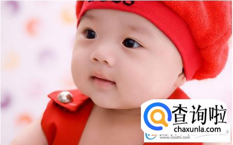 樊姓名字大全，姓樊的名字大全