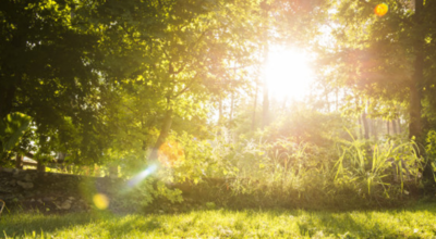 与天气有关的谚语有哪些