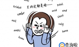 如何做到高效记忆？