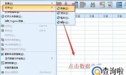 SPSS中如何对数据进行排序