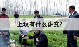 上坟有什么讲究