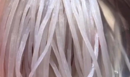 怎样自己在家做网红螺蛳粉？