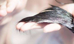 护发素排行榜前十名