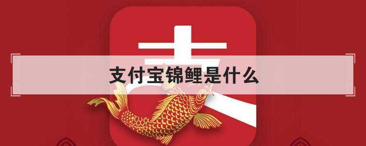 支付宝锦鲤是什么