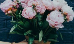 如何利用“学习通（超星）”刷网络课