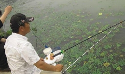 初学者钓鱼技巧，新手如何钓鱼？